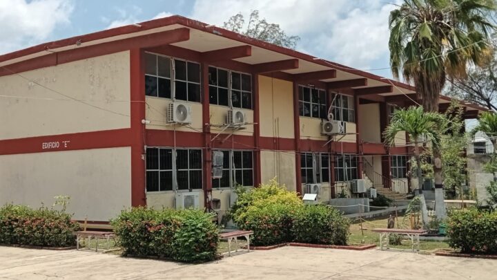 PRIMARIA UBICADA A ESPALDAS DE IGLESIA DE LA SANTA CRUZ TIENE BAJA MATRICULA.