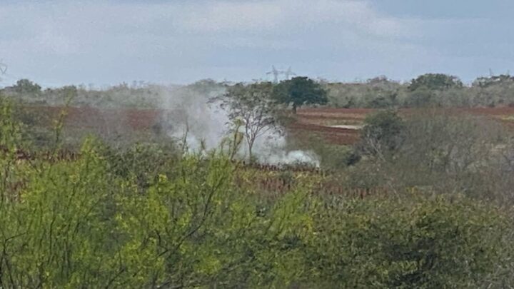 FUGA EN OLEODUCTO DE PEMEX PROVOCA INCENDIO DE ZACATAL EN ALTAMIRA