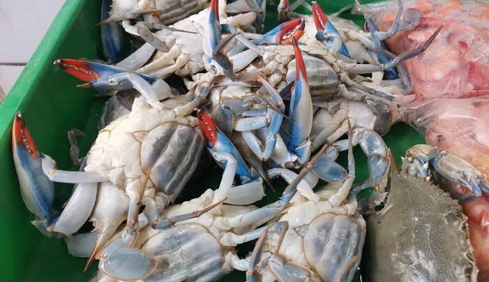 INCREMENTAN EL COSTO DE PESCADOS Y MARISCOS.