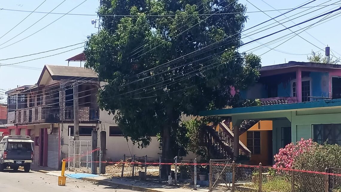 TEMEN QUEDARSE SIN ENERGÍA ELÉCTRICA A CAUSA DE UN ARBOL