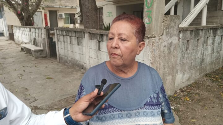 TEMEN VECINOS QUE RAMAS DE ÁRBOL CAIGAN SOBRE CABLES DE LUZ.