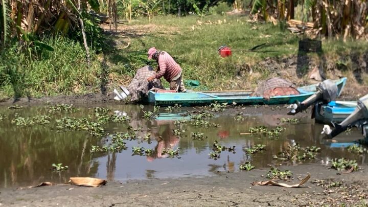 PESCADORES A PUNTO DE PERDER SU ACTIVIDAD POR EL BAJO NIVEL DE LA LAGUNA