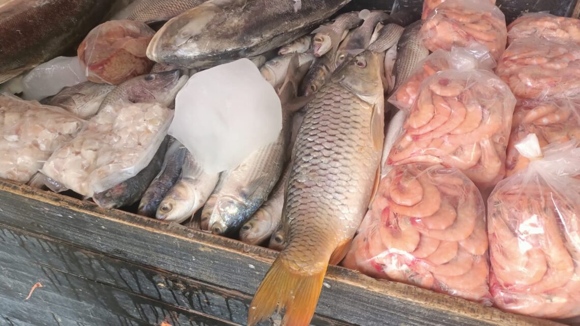 SE ESCASEAN PRODUCTOS EN EL MERCADO DE LA PUNTILLITA EN ALTAMIRA SE ESCASEAN PRODUCTOS EN EL MERCADO DE LA PUNTILLITA EN ALTAMIRA