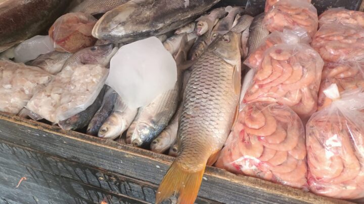 SE ESCASEAN PRODUCTOS EN EL MERCADO DE LA PUNTILLITA EN ALTAMIRA