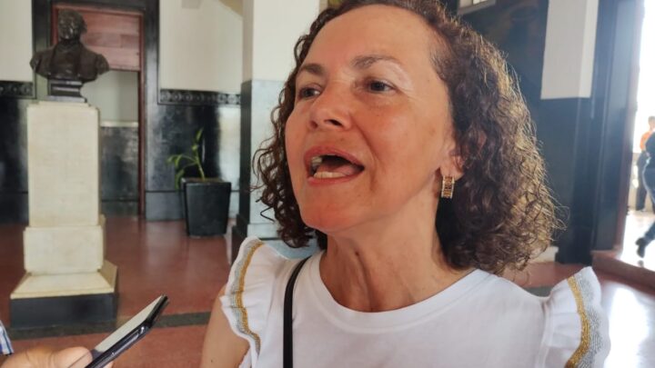 NO LLEGA MEJORÍA EN MERCADOS RODANTES DE TAMPICO; 40% DEL PADRÓN DEJÓ DE LABORAR