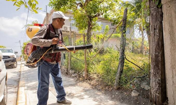 MADERO TIENE MÁS DE 20 CASOS DE DENGUE.