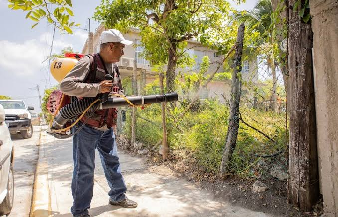 MADERO TIENE MÁS DE 20 CASOS DE DENGUE. MADERO TIENE MÁS DE 20 CASOS DE DENGUE.
