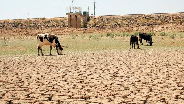 PROPONEN HACER CAMBIOS PARA CRIAR GANADO, ANTE SEQUÍA