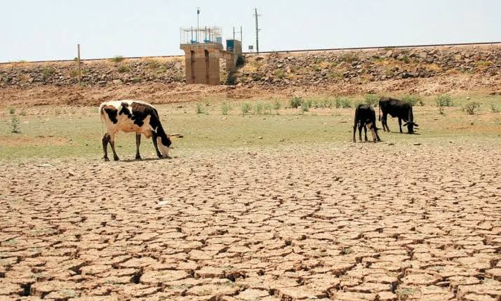 PROPONEN HACER CAMBIOS PARA CRIAR GANADO, ANTE SEQUÍA PROPONEN HACER CAMBIOS PARA CRIAR GANADO, ANTE SEQUÍA