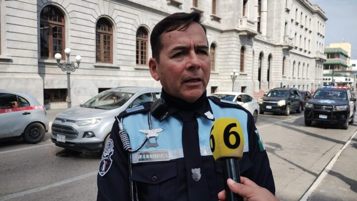 BUSCAN QUE LOS MORDELONES DE TAMPICO NO CAIGAN EN DESHIDRATACIÓN POR ALTAS TEMPERATURAS