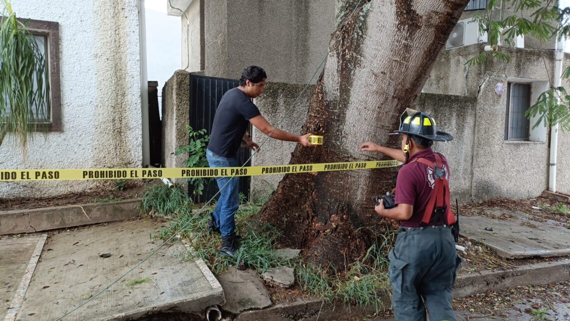 CIUDAD MADERO SIN AFECTACIONES MAYORES POR TORMENTA TROPICAL “ALBERTO” CIUDAD MADERO SIN AFECTACIONES MAYORES POR TORMENTA TROPICAL “ALBERTO”