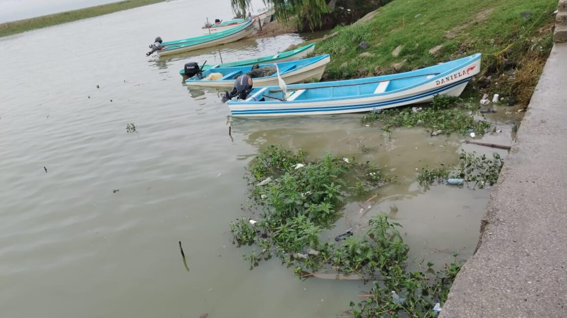PESE A LAS LLUVIAS PESCADORES AUN TIENEN QUE ESPERAR PARA RECUPERAR VENTAS PESE A LAS LLUVIAS PESCADORES AUN TIENEN QUE ESPERAR PARA RECUPERAR VENTAS