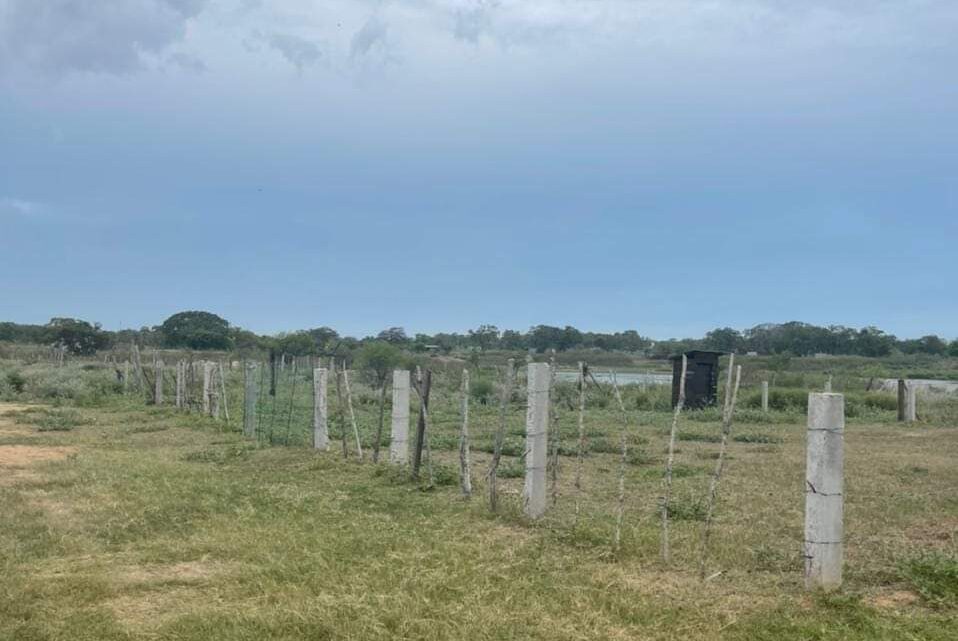 HABITANTES DE DISTINTOS SECTORES TENDRÁN CERTEZA LEGAL EN SU PREDIOS HABITANTES DE DISTINTOS SECTORES TENDRÁN CERTEZA LEGAL EN SU PREDIOS