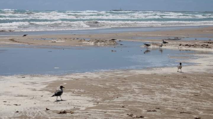 COMERCIANTES ALERTAS POR CRECIMIENTO DE MAREA.