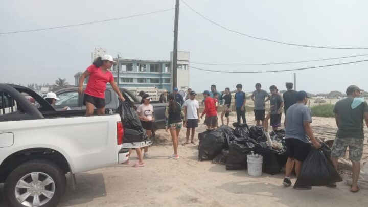 INICIATIVA PRIVADA SE SUMA A LAS ACCIONES DE LIMPIEZA DE PLAYA MIRAMAR