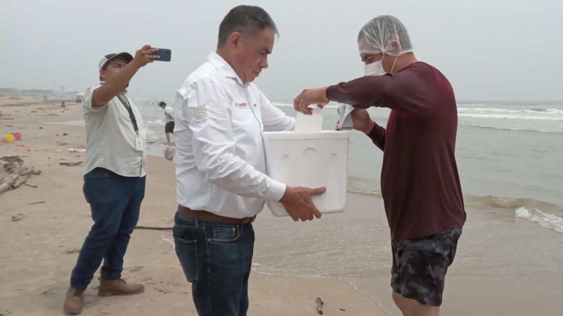 REALIZA COEPRIS MUESTREOS DE LA CALIDAD DEL AGUA EN PLAYA MIRAMAR. REALIZA COEPRIS MUESTREOS DE LA CALIDAD DEL AGUA EN PLAYA MIRAMAR.