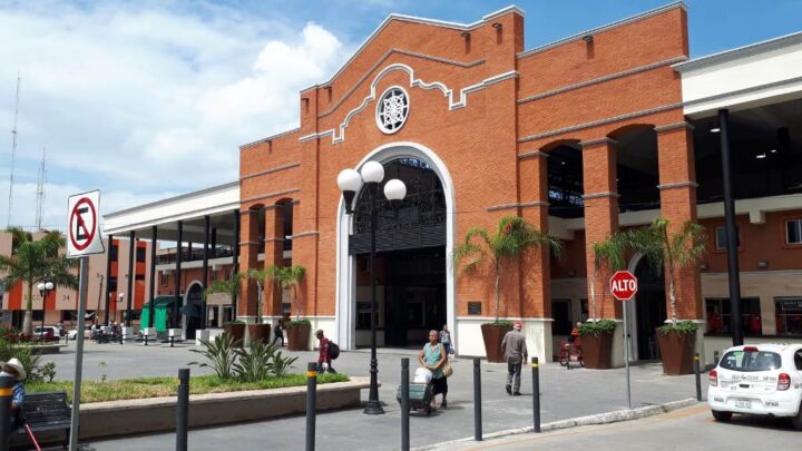 NECESARIO SANITIZACIÓN Y FUMIGACIÓN EN TODOS LOS MERCADOS PORTEÑOS