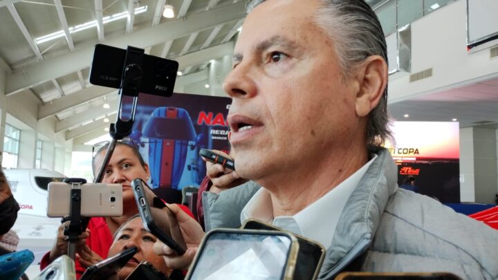 PIDE ALCALDE DE TAMPICO RESPETAR HABITAT DE LAGARTOS; LLUVIAS LOS ALEBRESTARON