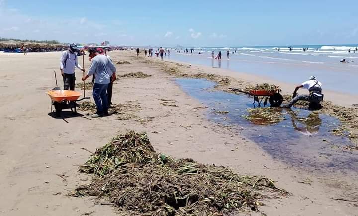 PLAYA MIRAMAR SE ENCUENTRA ABIERTA: TURISMO. PLAYA MIRAMAR SE ENCUENTRA ABIERTA: TURISMO.