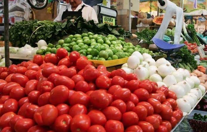 HASTA SEPTIEMBRE PODRÍA BAJAR EL PRECIO DE ALGUNAS VERDURAS HASTA SEPTIEMBRE PODRÍA BAJAR EL PRECIO DE ALGUNAS VERDURAS