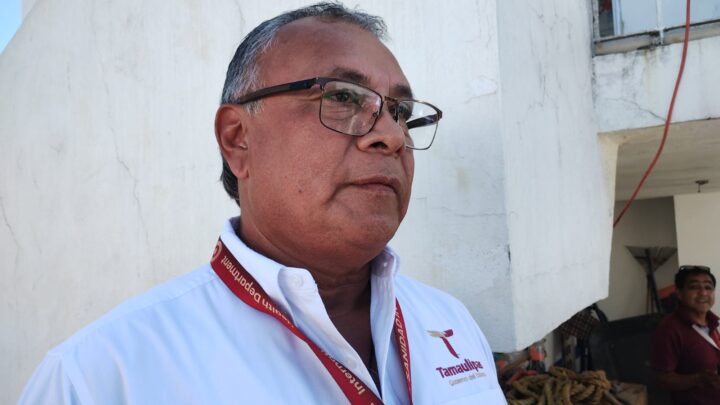 SIN DETECCIÓN DE ENFERMEDADES EN LOS PUERTOS DE TAMPICO Y ALTAMIRA: SANIDAD INTERNACIONAL