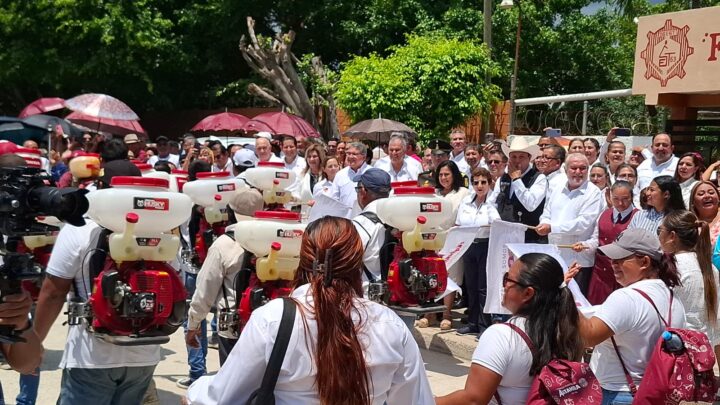 71 CASOS CONFIRMADOS EN ALTAMIRA DE DENGUE