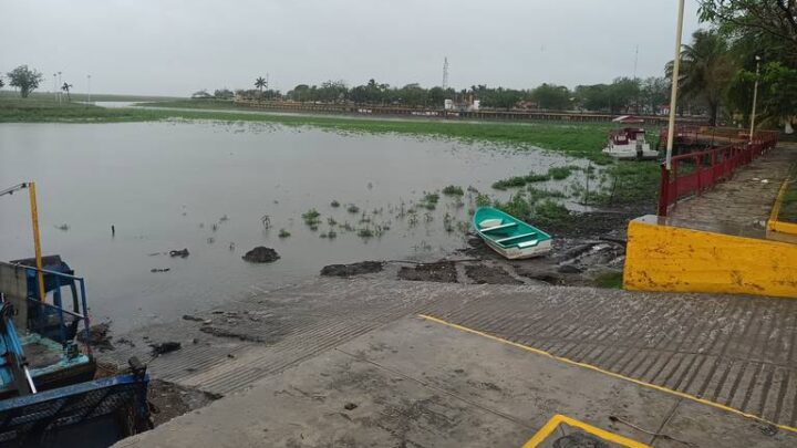 MUNICIPIO DE ALTAMIRA TRABAJA EN TRAMPAS DE SEDIMENTOS PARA EVITAR QUE SE DISPERSAN EN EL SISTEMA LAGUNARIO