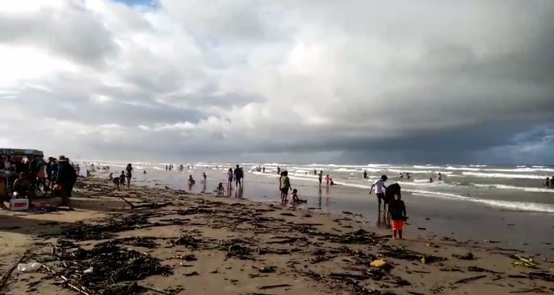 MÁS DE 5 MIL TONELADAS DE PALIZADA Y LIRIO SE HAN RETIRADO DE MIRAMAR.