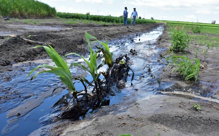 PEMEX NO RESPONDE A DAÑOS POR DERRAMES PEMEX NO RESPONDE A DAÑOS POR DERRAMES