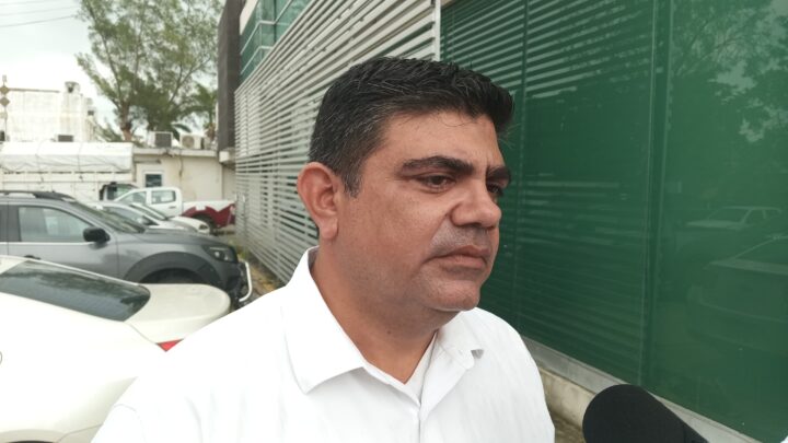 SIGUEN SALIENDO CRÍAS DE COCODRILO DE LAGUNAS.