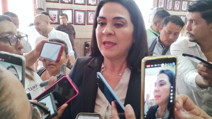 METE EL HOMBRO IP AL MUNICIPIO PORTEÑO EN RECOLECCIÓN DE BASURA