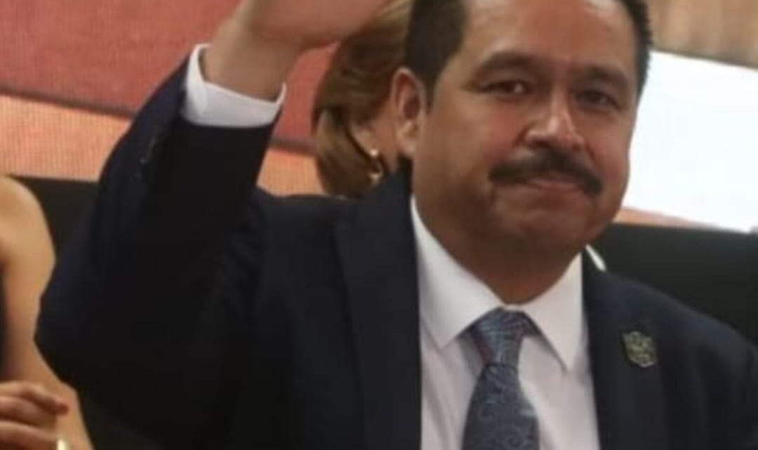 SNTE UN TRAMPOLIN PARA VIVIDORES