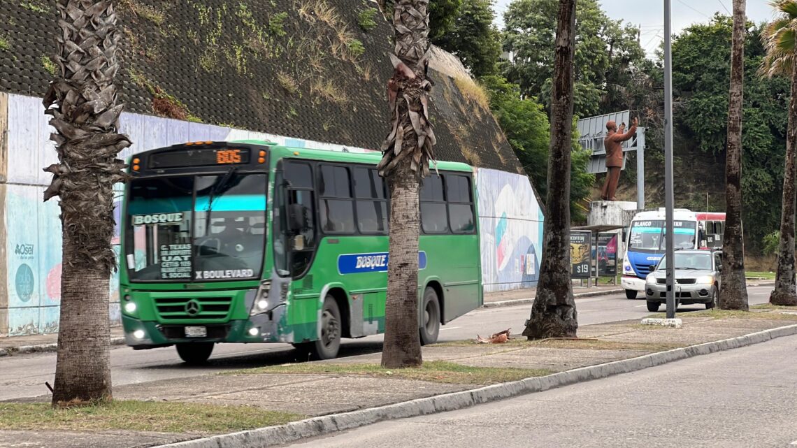 El 50% de los Autobuses del Transporte Público, en Mal Estado