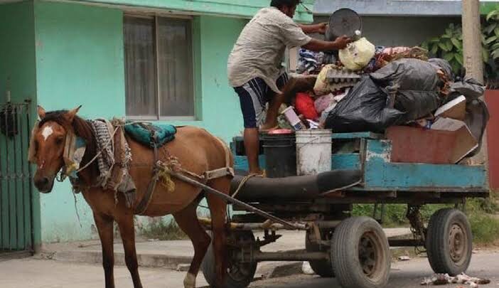 Madero reglamentará actividades de carretoneros para proteger lagunas y animales