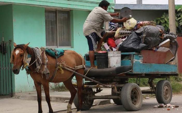 FALTA DE PERSONAL LIMITA ATENCIÓN A CASOS DE MALTRATO ANIMAL EN CIUDAD MADERO.