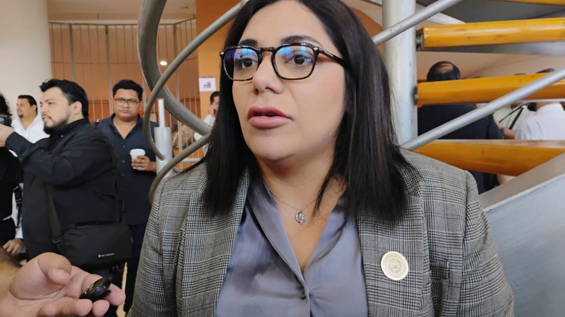 PIDE DIPUTADA DE MORENA A TAMAULIPECOS APOYEN LA ELECCIÓN JUDICIAL DEL 1 DE JUNIO