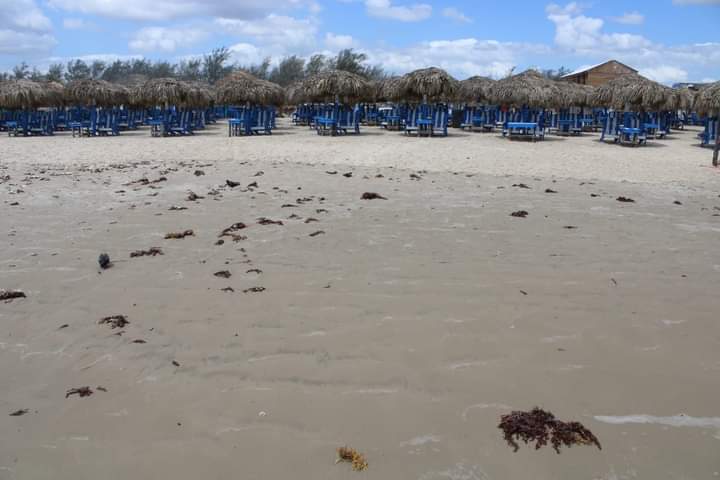AYUNTAMIENTO DE MADERO PIDE CORREGIR DELIMITACIÓN DE ZONAS FEDERALES EN PLAYA MIRAMAR.