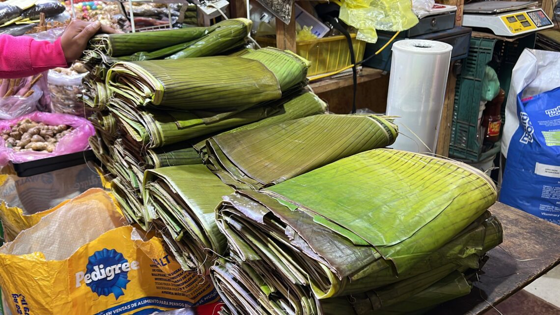 SE INCREMENTARÁ LA HOJA DE PLÁTANO PARA TAMALES, PREVIO AL DÍA DE LA CANDELARIA
