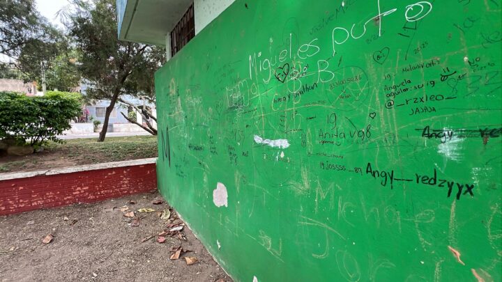 PARQUES Y ESPACIOS PÚBLICOS, AFECTADOS POR “PINTAS” Y GRAFFITI, PROVOCAN MALA IMAGEN
