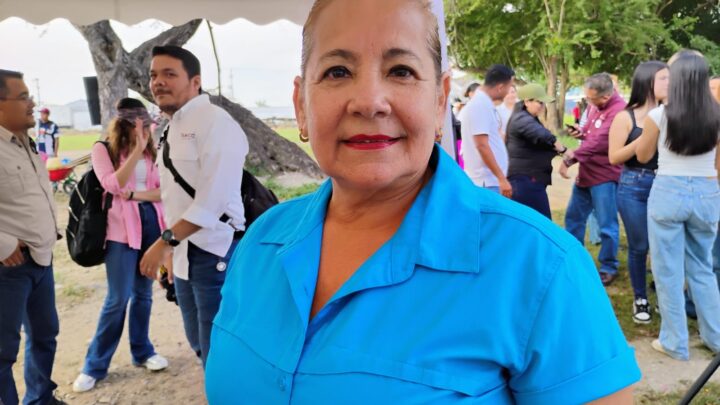 ADVIERTEN DEL INICIO DEL DENGUE  EN ZONA SUR