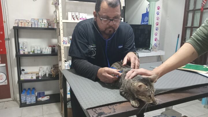 VETERINARIOS DE MADERO SE SUMAN A PROTESTA NACIONAL; PIDEN JUSTICIA PARA COLEGA ASESINADO.