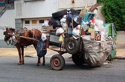 MADERO REFUERZA MEDIDAS CONTRA EL ABANDONO Y MALTRATO DE SEMOVIENTES.