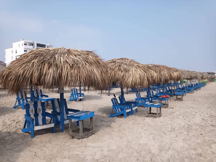 RENTA DE PALAPAS EN PLAYA MIRAMAR OSCILA EN LOS 150 PESOS. RENTA DE PALAPAS EN PLAYA MIRAMAR OSCILA EN LOS 150 PESOS.