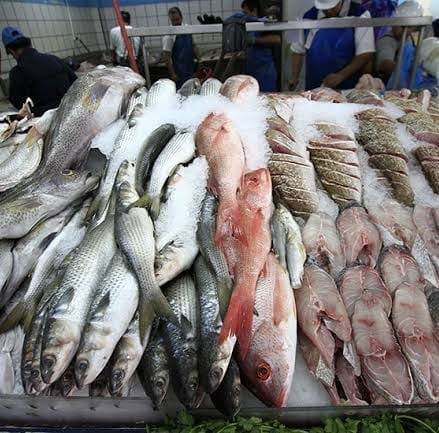 ESCASEZ DE PESCADO EN CIUDAD MADERO POR ALTA DEMANDA DURANTE SEMANA SANTA ESCASEZ DE PESCADO EN CIUDAD MADERO POR ALTA DEMANDA DURANTE SEMANA SANTA