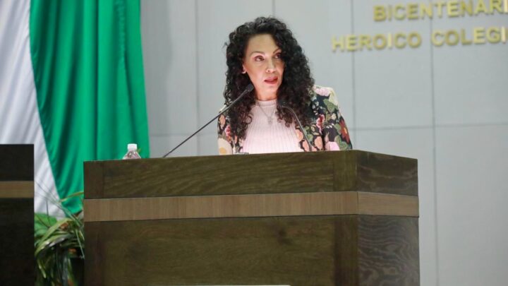 ASEGURA DIPUTADA LOCAL QUE NO SE COBRA POR REGRESAR CABALLOS A SUS DUEÑOS.