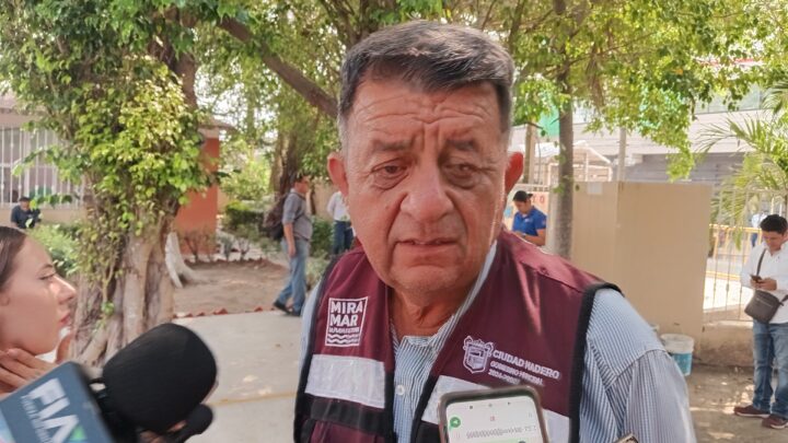 DETECTAN 30 TONELADAS SEMANALES DE BASURA ESPECIAL ABANDONADA EN  MADERO.