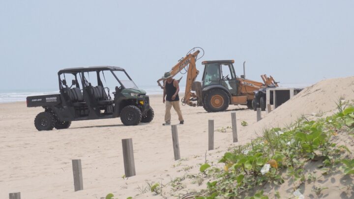 DENUNCIAN INGRESO DE MAQUINARIA PESADA A ZONA DE ANIDACIÓN DE TORTUGAS EN PLAYA MIRAMAR.