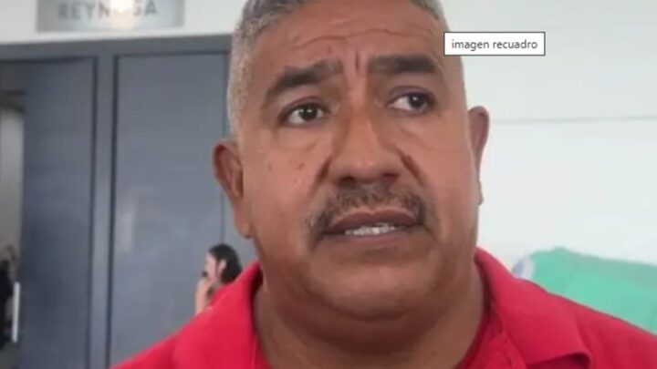 ABEJAS ATACAN A PERRO EN LA ZONA NORTE DE TAMPICO