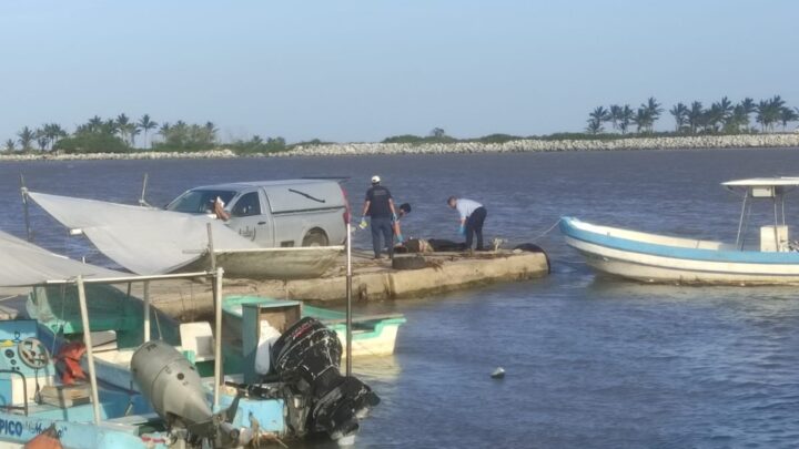 ENCUENTRAN CUERPO DE ADULTO MAYOR EN EL RIO PANUCO.