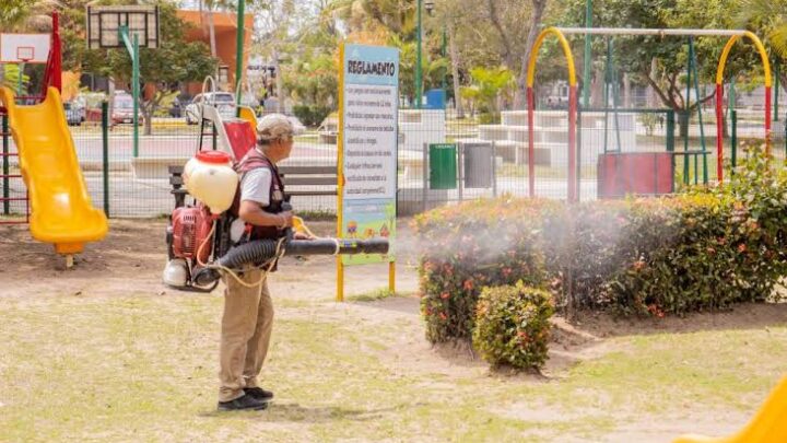 FUMIGACIÓN Y DESCACHARRIZACIÓN ALCANZAN 70% DE COLONIAS DE MADERO.